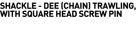 Shackle -  Dee (Chain) Trawling, with Square Head Screw Pin