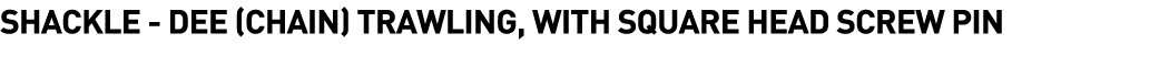 Shackle -  Dee (Chain) Trawling, with Square Head Screw Pin