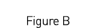  Figure B