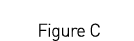  Figure C