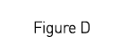  Figure D