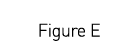  Figure E