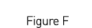  Figure F