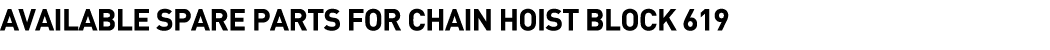  Available Spare Parts for Chain Hoist Block 619