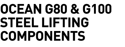  OCEAN G80 & G100 Steel Lifting Components 