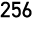 256