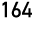 164