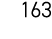 163