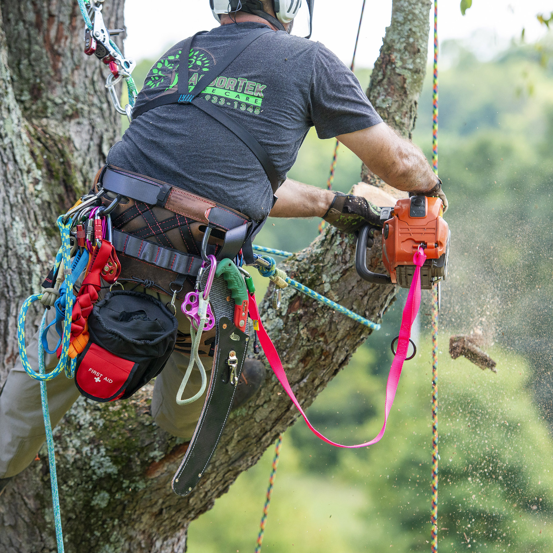 tree climbing gear and kits