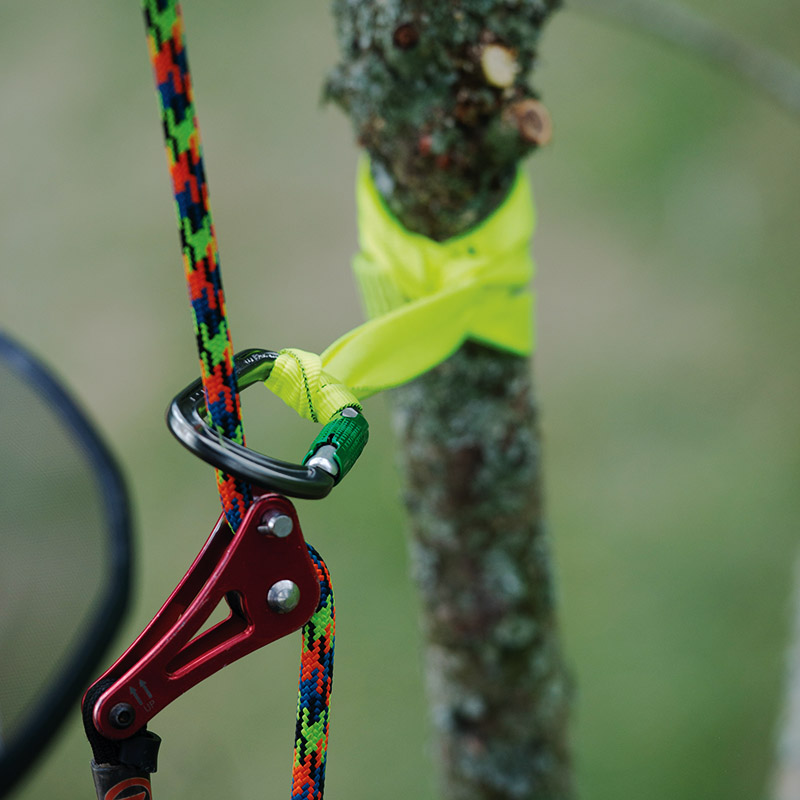 arborist rope